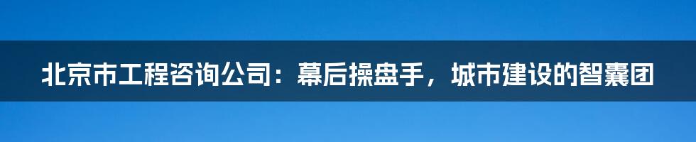 北京市工程咨询公司：幕后操盘手，城市建设的智囊团