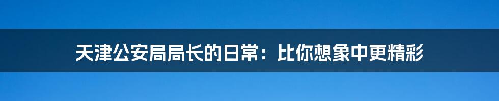 天津公安局局长的日常：比你想象中更精彩