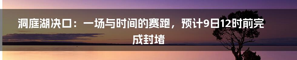 洞庭湖决口：一场与时间的赛跑，预计9日12时前完成封堵