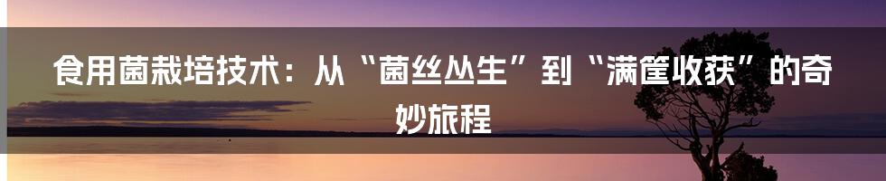 食用菌栽培技术：从“菌丝丛生”到“满筐收获”的奇妙旅程