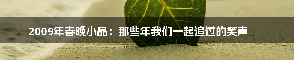 2009年春晚小品：那些年我们一起追过的笑声
