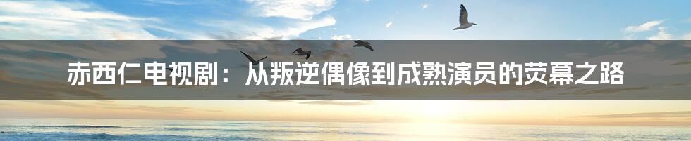 赤西仁电视剧：从叛逆偶像到成熟演员的荧幕之路