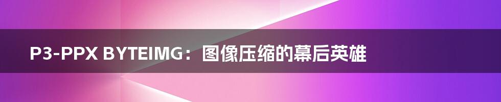 P3-PPX BYTEIMG：图像压缩的幕后英雄