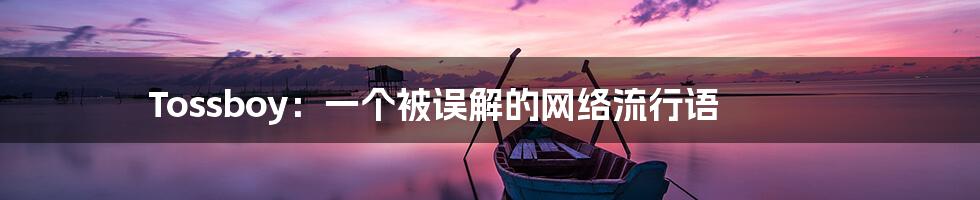 Tossboy:一个被误解的网络流行语
