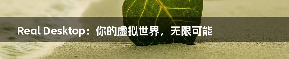 Real Desktop:你的虚拟世界,无限可能