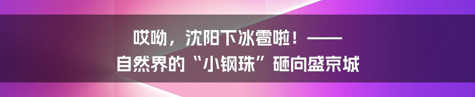 哎呦,沈阳下冰雹啦!—— 自然界的“小钢珠”砸向盛京城