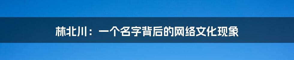 林北川：一个名字背后的网络文化现象