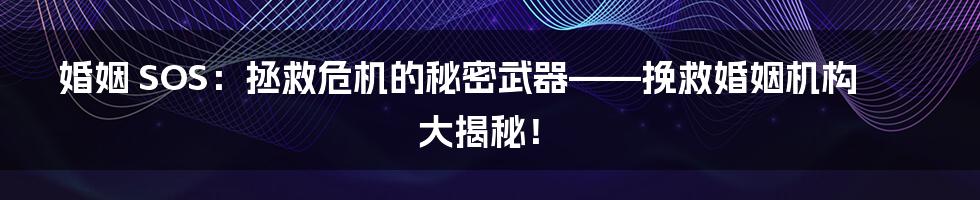 婚姻 SOS:拯救危机的秘密武器——挽救婚姻机构大揭秘!