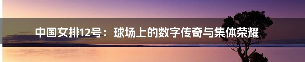 中国女排12号：球场上的数字传奇与集体荣耀