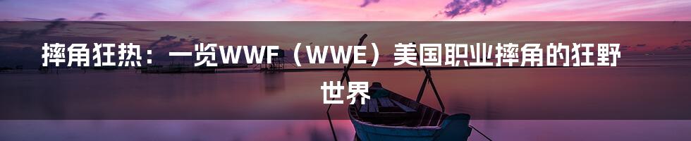摔角狂热：一览WWF（WWE）美国职业摔角的狂野世界