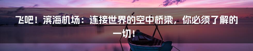 飞吧！滨海机场：连接世界的空中桥梁，你必须了解的一切！