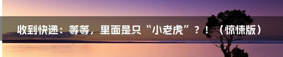 收到快递:等等,里面是只“小老虎”?!(惊悚版)