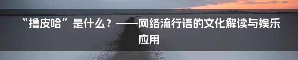 “撸皮哈”是什么？——网络流行语的文化解读与娱乐应用