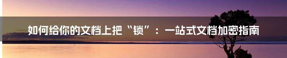 如何给你的文档上把“锁”:一站式文档加密指南
