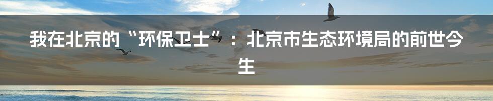 我在北京的“环保卫士”：北京市生态环境局的前世今生