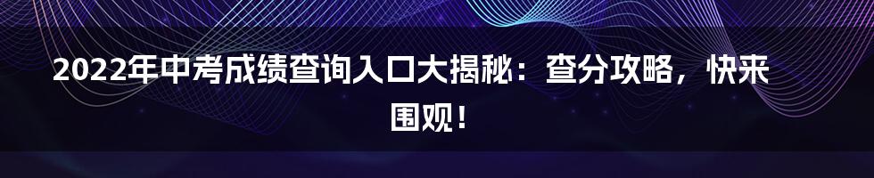 2022年中考成绩查询入口大揭秘:查分攻略,快来围观!
