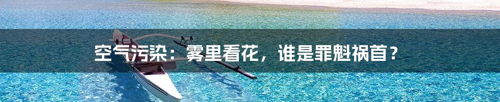 空气污染：雾里看花，谁是罪魁祸首？