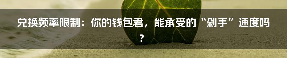 兑换频率限制:你的钱包君,能承受的“剁手”速度吗?