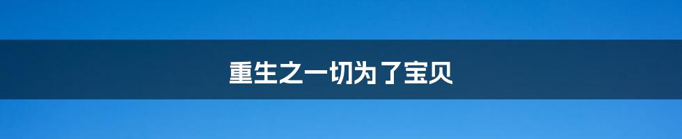 重生之一切为了宝贝