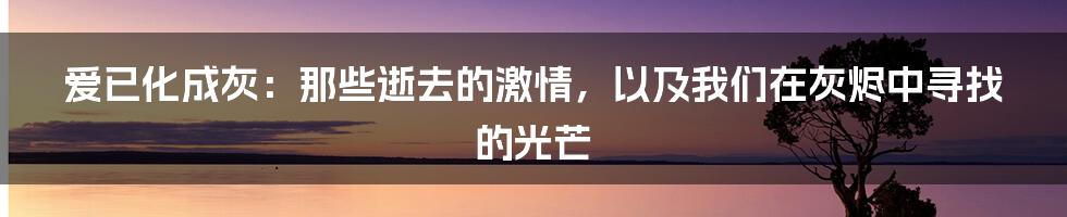 爱已化成灰:那些逝去的激情,以及我们在灰烬中寻找的光芒