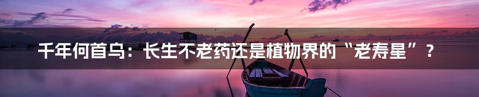 千年何首乌:长生不老药还是植物界的“老寿星”?