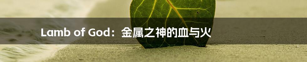 Lamb of God：金属之神的血与火