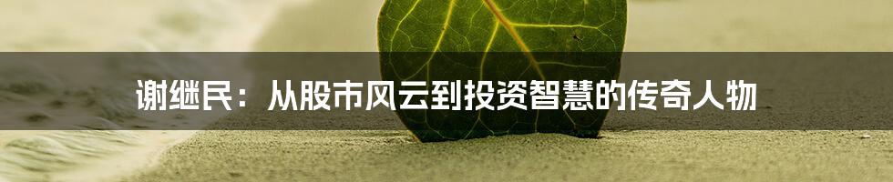 谢继民:从股市风云到投资智慧的传奇人物