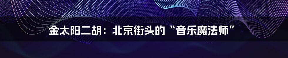 金太阳二胡:北京街头的“音乐魔法师”