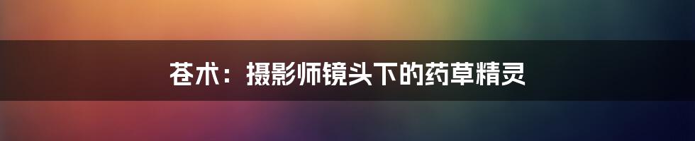 苍术：摄影师镜头下的药草精灵
