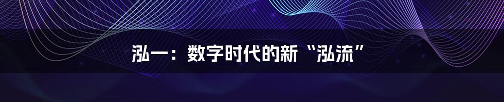 泓一：数字时代的新“泓流”
