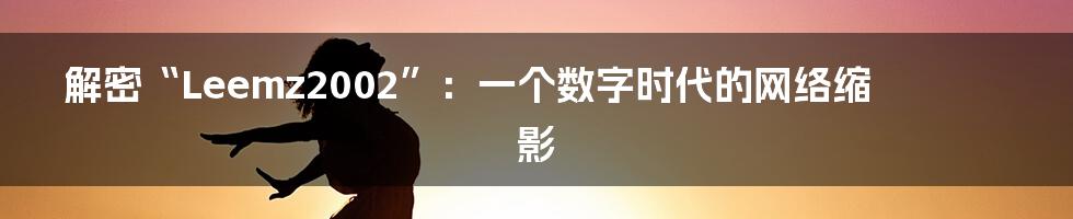 解密“Leemz2002”:一个数字时代的网络缩影