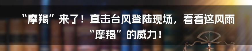 “摩羯”来了!直击台风登陆现场,看看这风雨“摩羯”的威力!