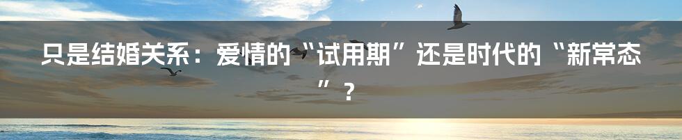 只是结婚关系:爱情的“试用期”还是时代的“新常态”?