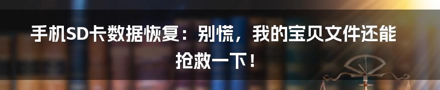手机SD卡数据恢复:别慌,我的宝贝文件还能抢救一下!