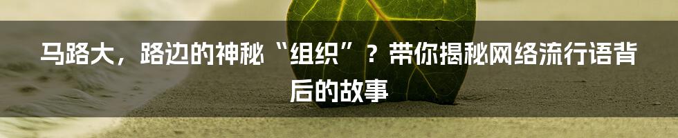 马路大，路边的神秘“组织”？带你揭秘网络流行语背后的故事
