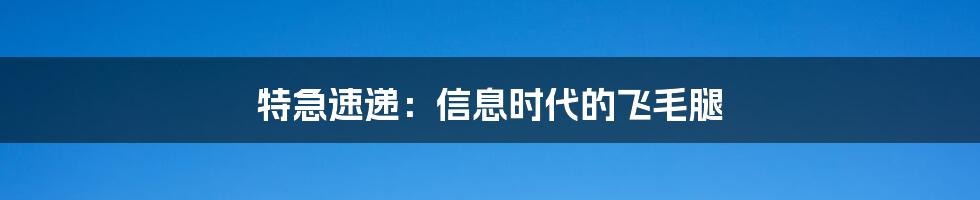 特急速递：信息时代的飞毛腿
