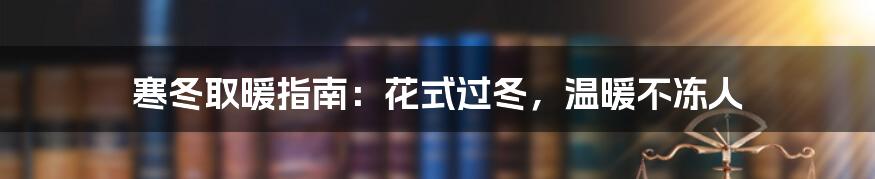 寒冬取暖指南:花式过冬,温暖不冻人
