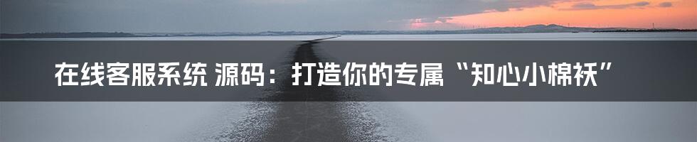 在线客服系统 源码：打造你的专属“知心小棉袄”