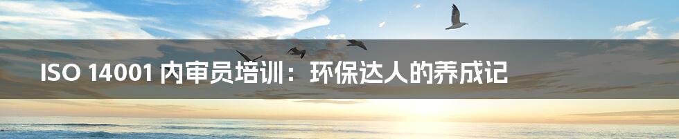 ISO 14001 内审员培训：环保达人的养成记