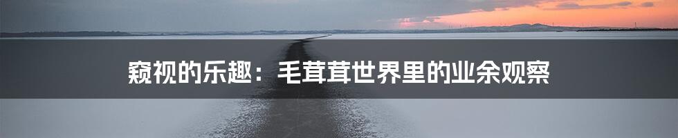 窥视的乐趣:毛茸茸世界里的业余观察