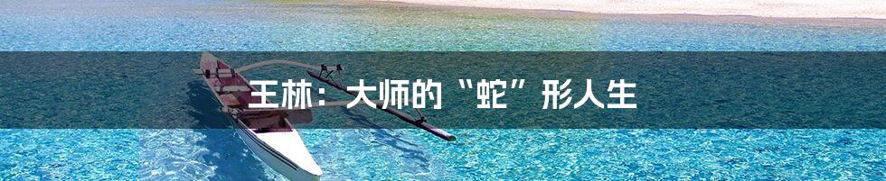 王林：大师的“蛇”形人生