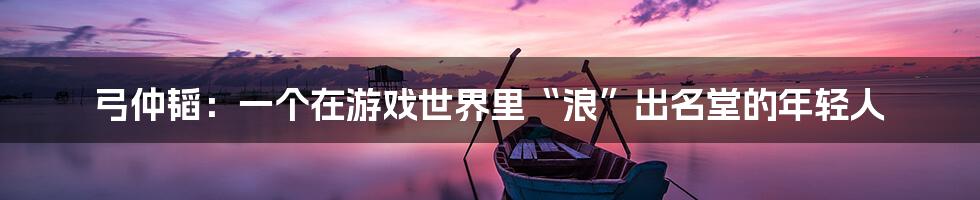 弓仲韬：一个在游戏世界里“浪”出名堂的年轻人
