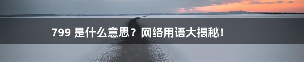 799 是什么意思?网络用语大揭秘!