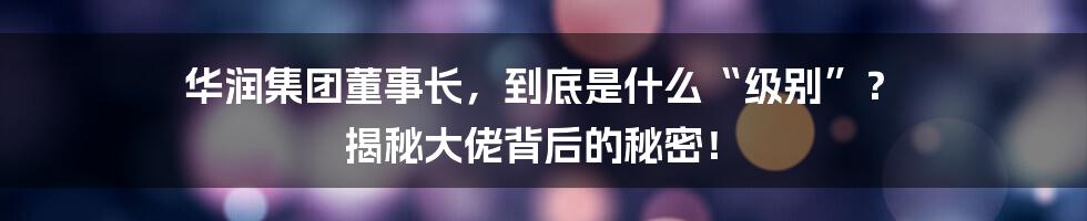 华润集团董事长,到底是什么“级别”? 揭秘大佬背后的秘密!