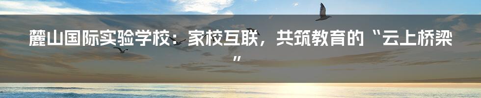 麓山国际实验学校:家校互联,共筑教育的“云上桥梁”