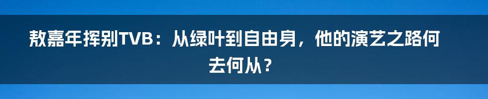 敖嘉年挥别TVB：从绿叶到自由身，他的演艺之路何去何从？