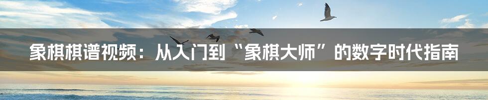象棋棋谱视频:从入门到“象棋大师”的数字时代指南