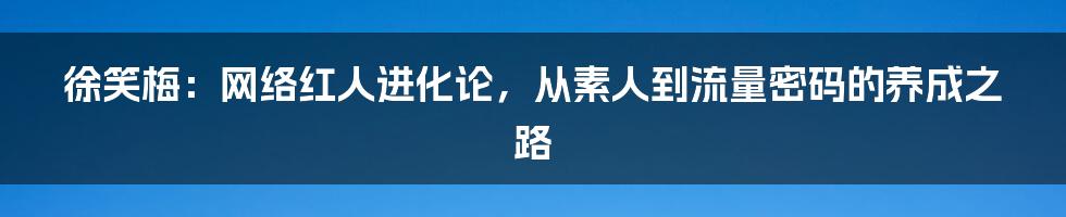 徐笑梅：网络红人进化论，从素人到流量密码的养成之路