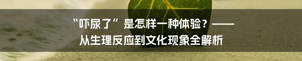 “吓尿了”是怎样一种体验?—— 从生理反应到文化现象全解析