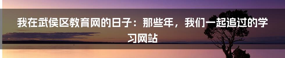 我在武侯区教育网的日子:那些年,我们一起追过的学习网站